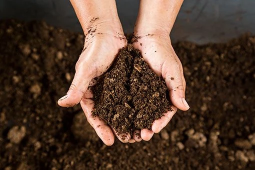 Agriculture_iStock489871228_min_1920x1920